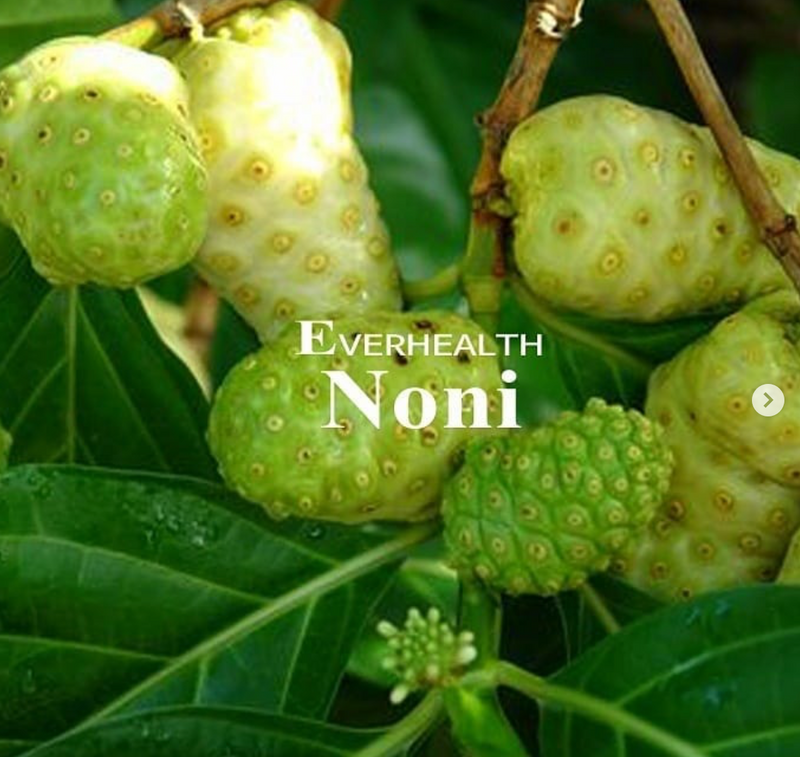 Noni Fruit 500mg  60 Capsules